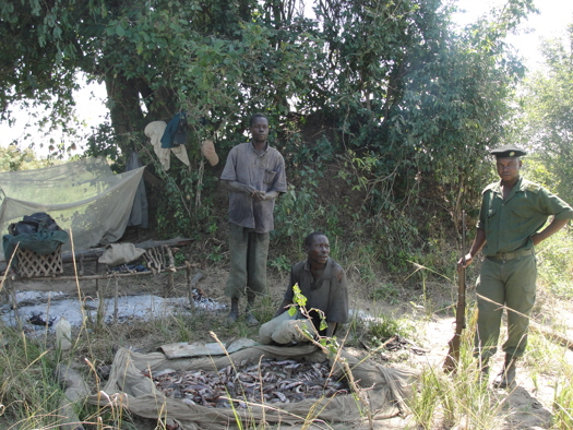 How Drones Will Fight Poachers To Save Endangered Species