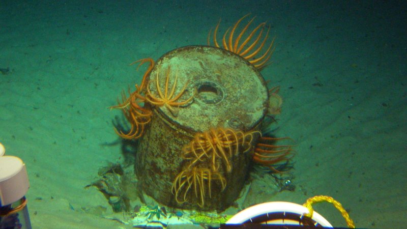 Corroded munitions with sea life grown over.