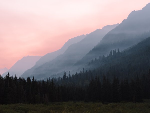 Mountains and a pine forest covered in wildfire smoke.