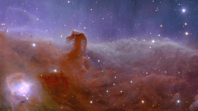 This square astronomical image is divided horizontally by a waving line between a white-orange cloudscape forming a nebula along the bottom portion and a comparatively blue-purple-pink upper portion. From the nebula in the bottom half of the image, an orange cloud shaped like a horsehead sticks out. In the bottom left of the image, a white round glow is visible. The clouds from the bottom half of the image shine purple/blue light into the upper half. The top of the image shows the black expanse of space. Speckled across both portions is a starfield, showing stars of varying sizes and colors. Blue stars are younger and red stars are older.