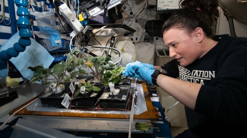 The cool ways ISS astronauts conduct experiments using household items