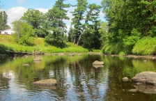 A shallow wide stream with rocks jutting out running through tree-lined banks.