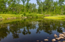 Small calm river in grassy banks.