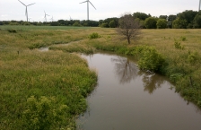 Upper Wapsipinicon River (photo: Joe Magee)