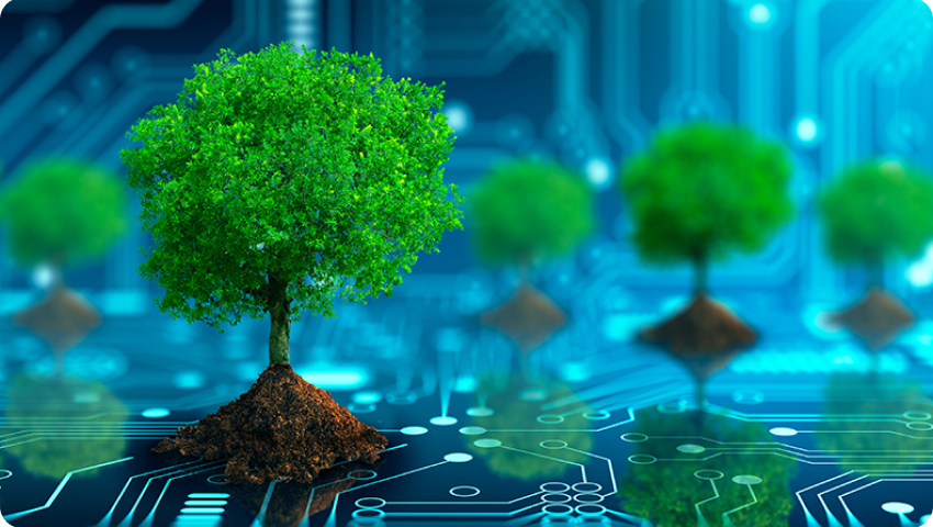 Trees grow on a circuit board