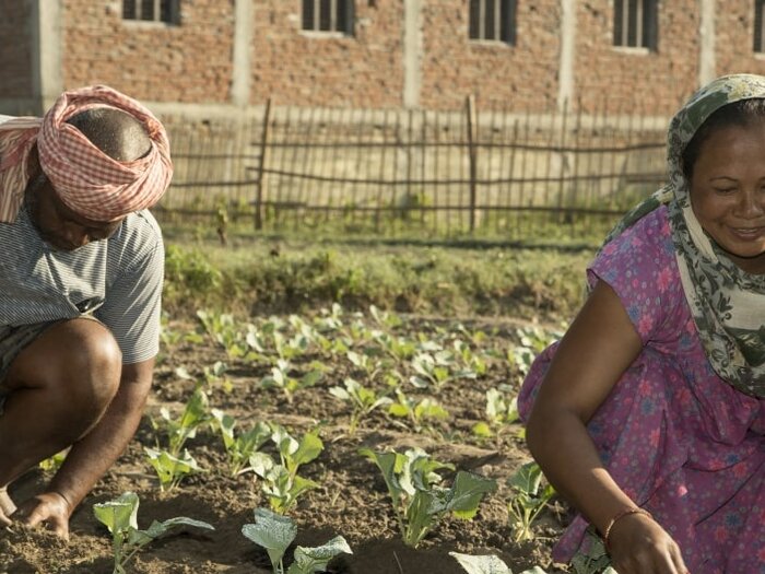 Man and woman working on a field