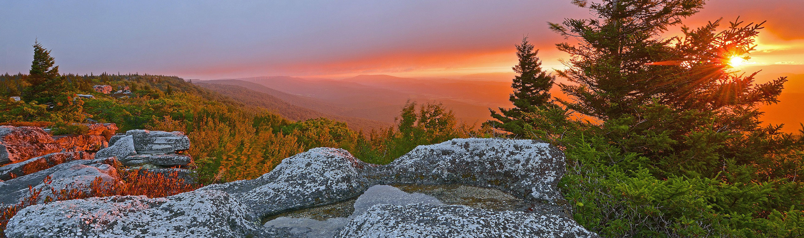 Dolly Sods