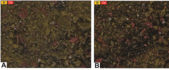 Inorganic Chemistry: Bulk Minerology, Carbonate Content, Carbon Isotopes