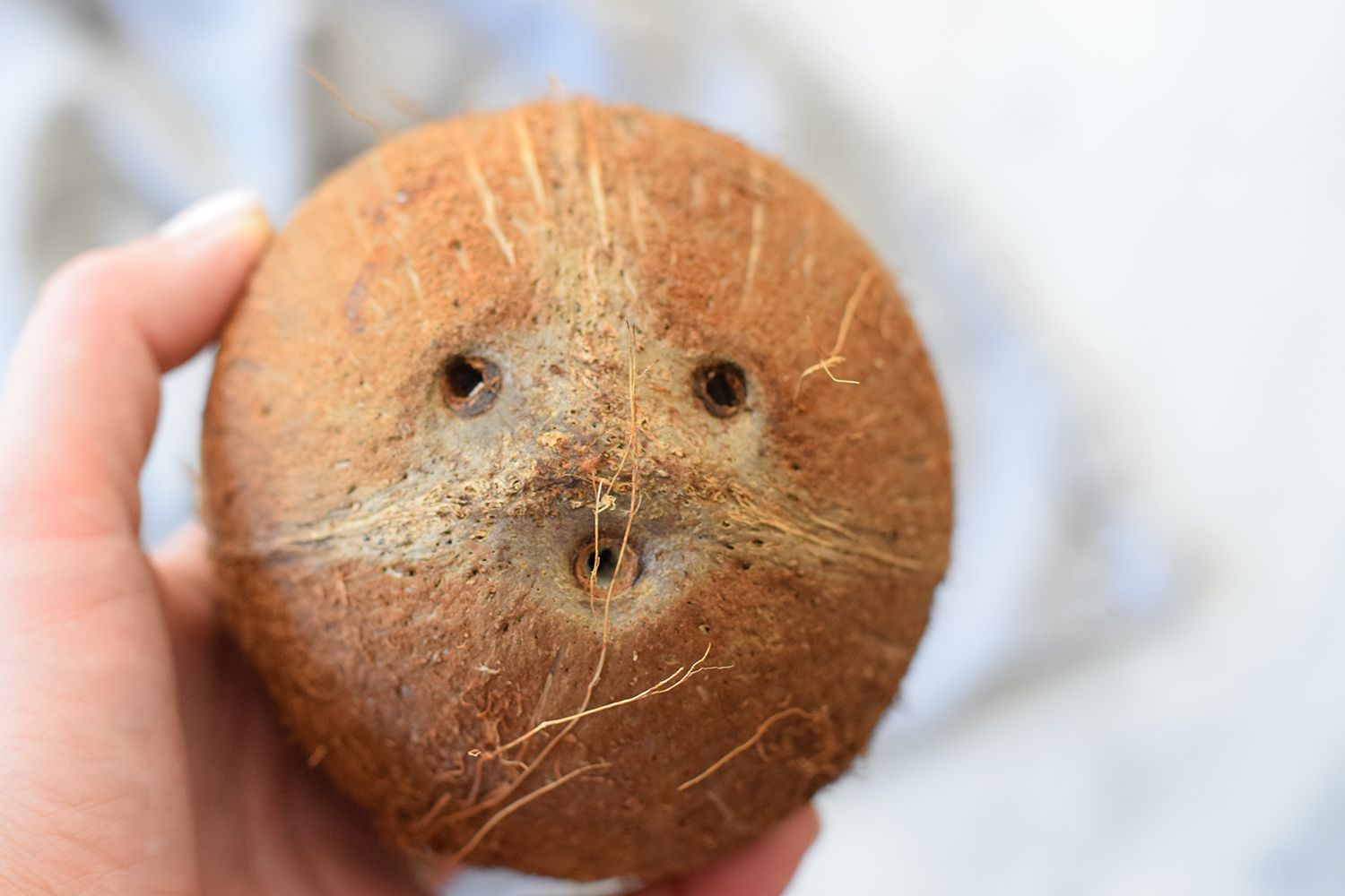 How to Crack a Coconut