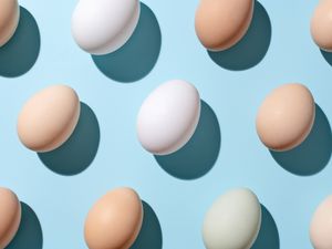 Multi-colored eggs evenly spaced on a light blue background