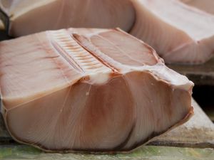 Shark meat at a fish market in South Korea