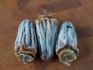 Hoshigaki, Japanese dried persimmons