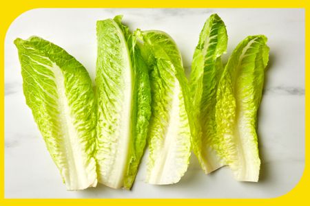 Leaves of romaine lettuce on a marble surface