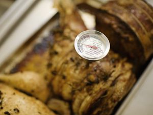 Meat thermometer testing meat