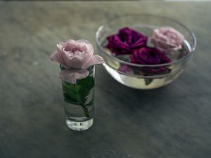 Roses in water