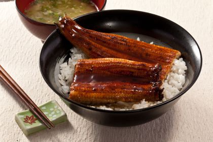 Unagi eel with rice