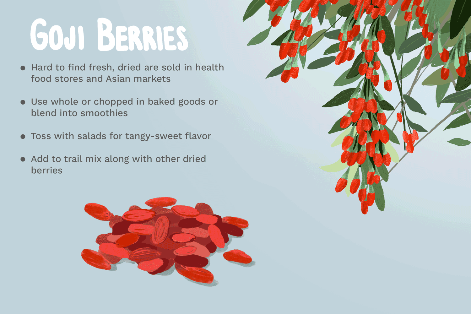 Bulleted list with info on where to find goji berries and creative ways to use them