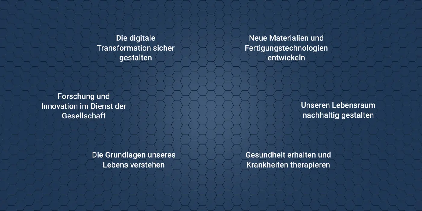 Vorschau des interaktiven Moduls