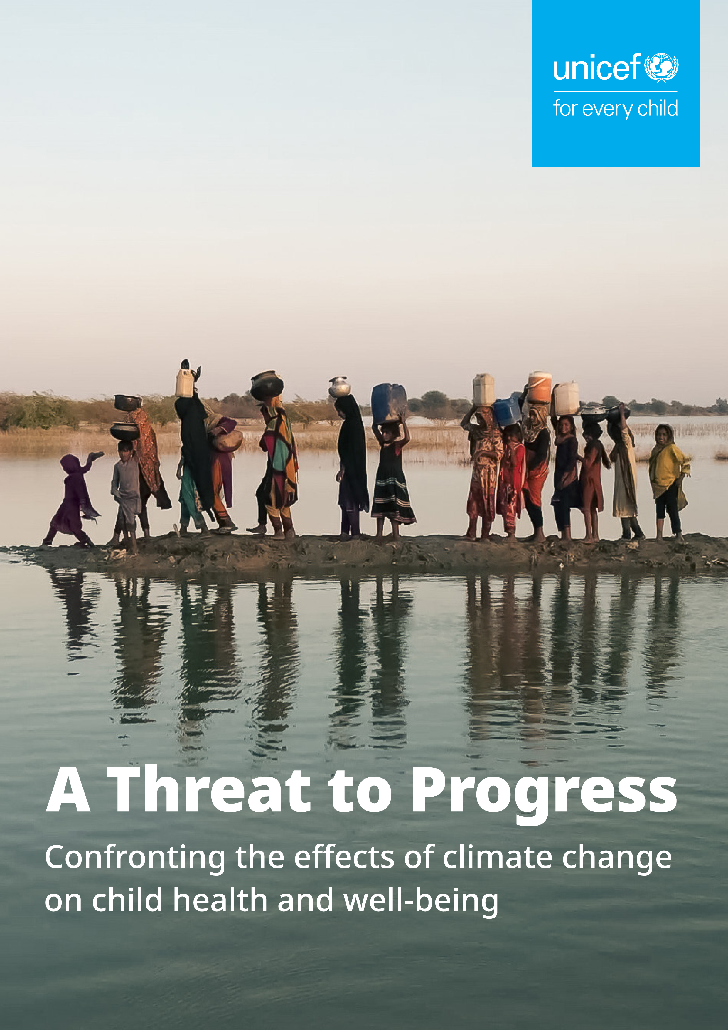 Cover of A Threat to Progress