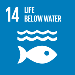 Image of Life Below Water