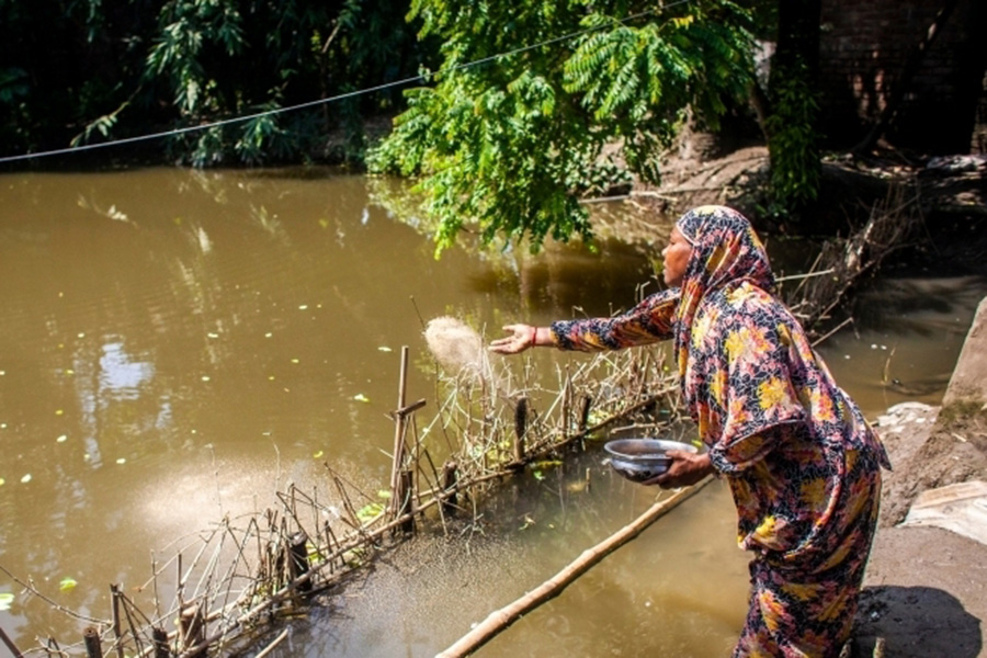 A woman throws ashes at a pond. 