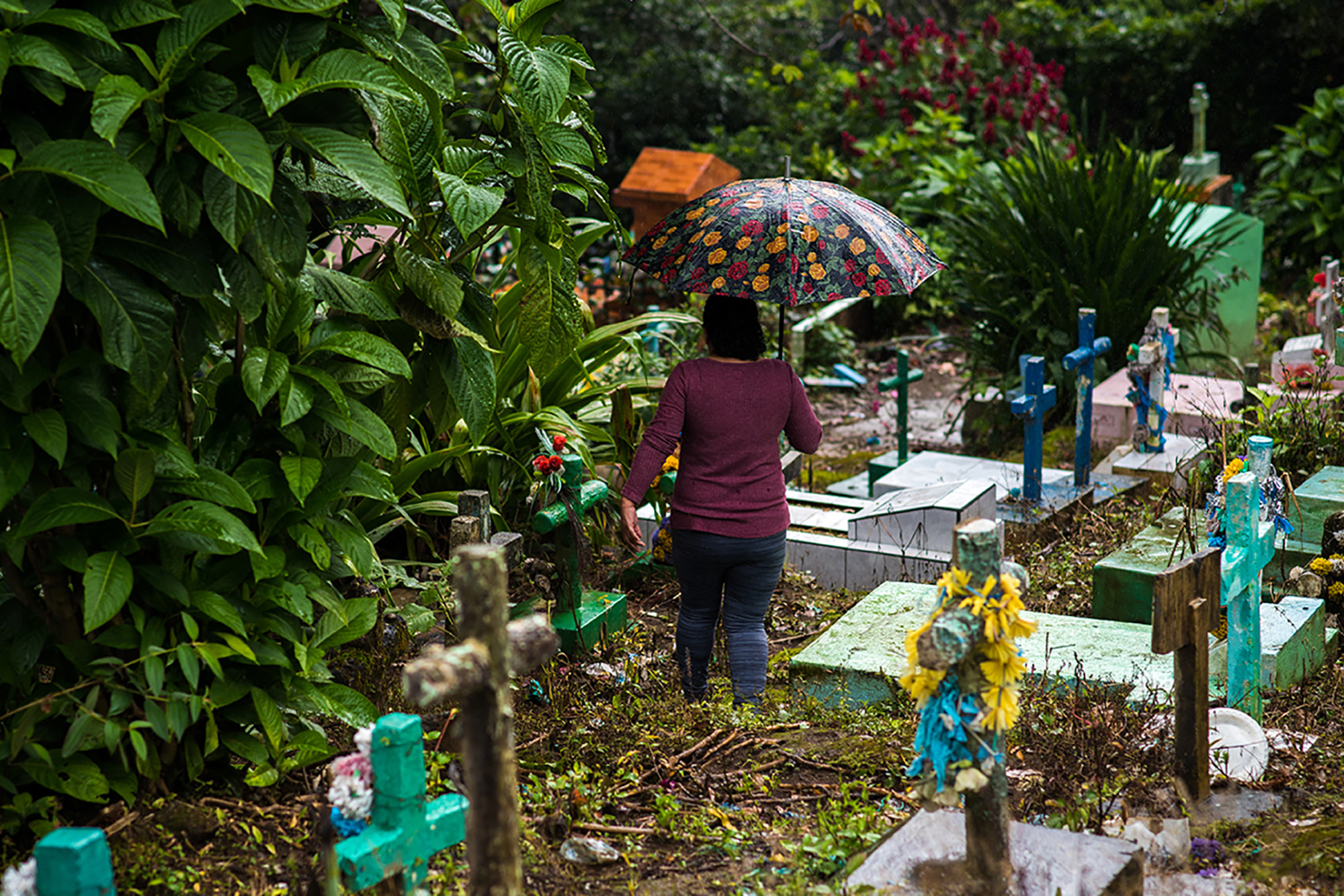 A woman with an umbrella walks among the graves in a cemetery.