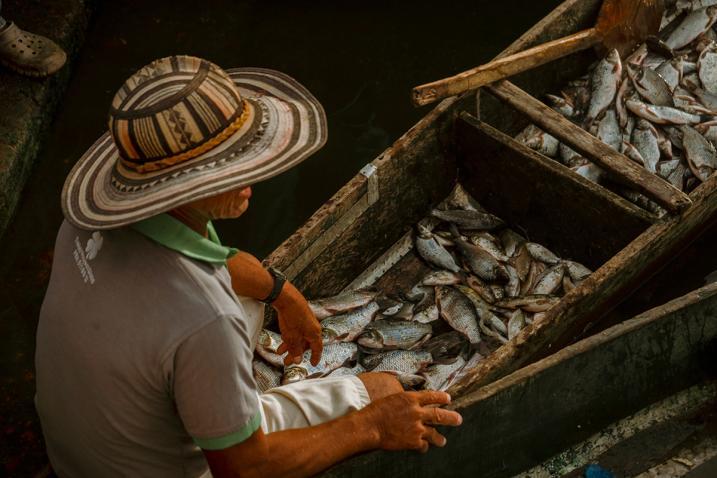 A man shows a bucket full of tuna