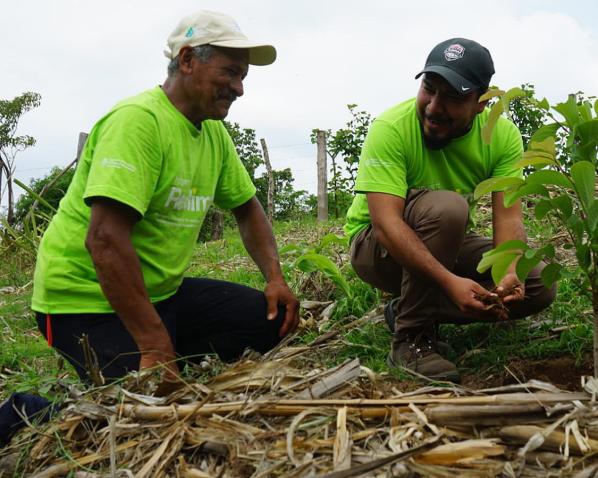 Deyx hommes agenouillés devant des plantes