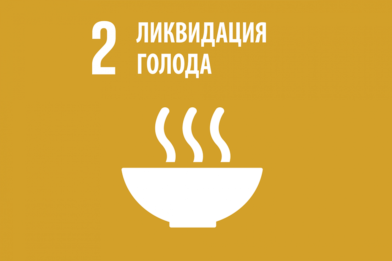 SDG2