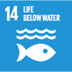 SDG 14: Life below water