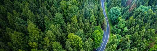 Overhead view of forest and roac