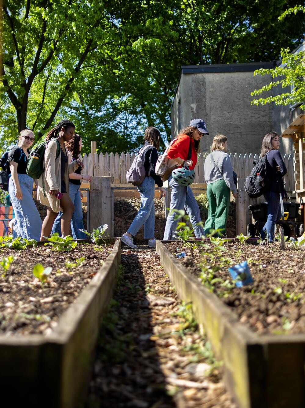 students exploring urban farms