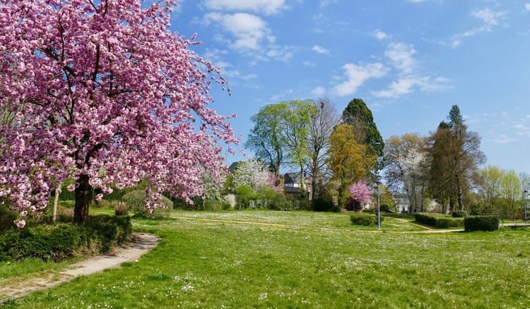 Parc Foncin