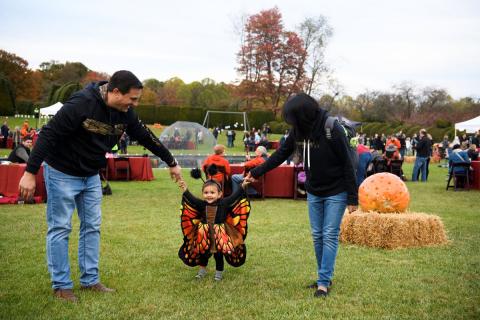 Ladew Topiary Gardens Fall Festival