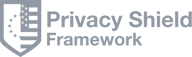 Data Privacy Framework (DPF)