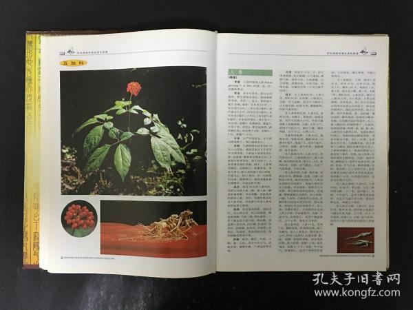 中华保健中草药原色图谱 精装