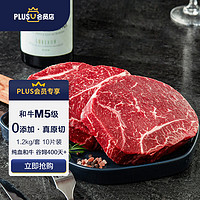 FRESH·FOUR SEASONS 淳鲜四季 X 京东 牛排原切和牛M5肉芯1.2kg 谷饲400天