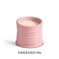 LOEWE 罗意威 常春藤香氛蜡烛 170g