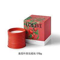 值选：LOEWE 罗意威 番茄叶香氛蜡烛 170g