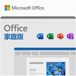 Microsoft 微软 新版上架啦 Office 家庭版 2024终身版office软件