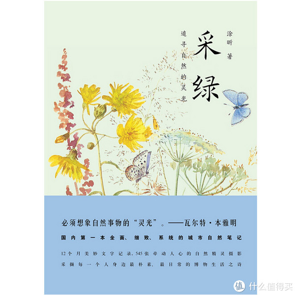 自然之美：《采绿》+《一日一花》