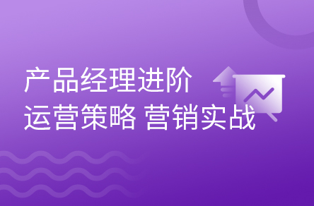 产品经理进阶技能运营策略与营销实战