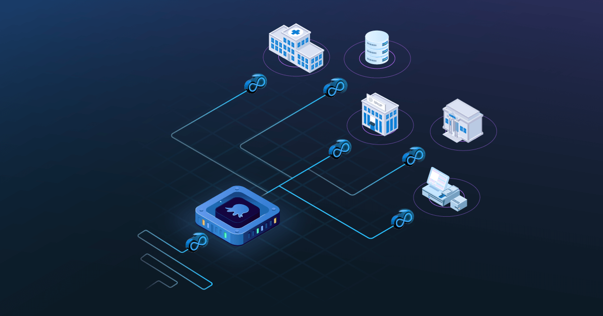 octopus to different locations and servers and cloud