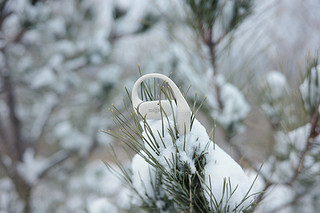 白雪是最好的产品背景