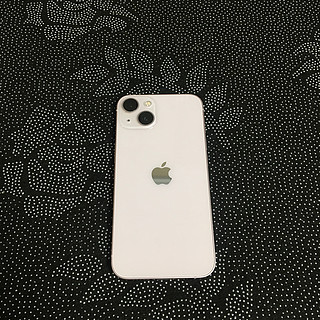 小屏小金刚iPhone 13我最喜欢。