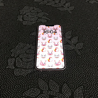 小屏小金刚iPhone 13我最喜欢。