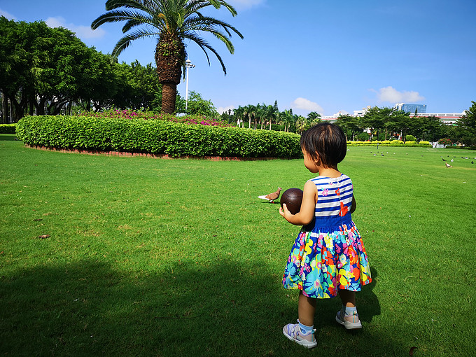 学饮杯