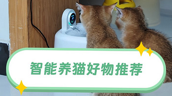 猫咪也爱高科技？这些智能养猫产品让主子乐翻天