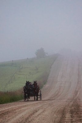 Mennonite Country