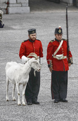 Two Soldiers and a Large Goat 